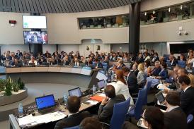 Dan Neculăescu a participat la reuniunea Comitetului delegaţilor miniştrilor de externe 