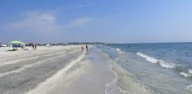 De la bunuri de uz gospodăresc O firmă nouă se orientează spre plaja din Năvodari (document)