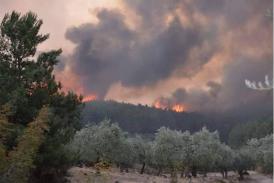 Incendiile din Thassos, Grecia, din ce în ce mai extinse. Ce zic românii, plecați acolo în vacanță (galerie foto) 