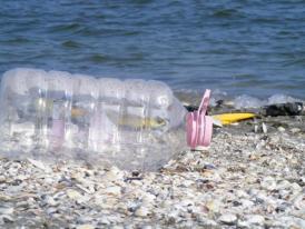 Astăzi este marcată „Ziua Internaţională a Ecologizării Plajelor”  