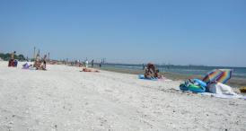 Societate cu un singur angajat, client fidel al licitaţiilor ABADL Pupa Fitness Pupa SRL, monopol în nordul litoralului? (document)