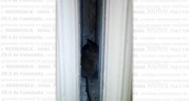 VIDEO Șoareci în salon cu pacienții la Spitalul de Pneumoftiziologie din Aiud