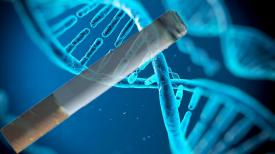 Te-ai lăsat de țigări? Fumatul lasă o „amprentă” în ADN chiar și 30 de ani după ce ai renunțat