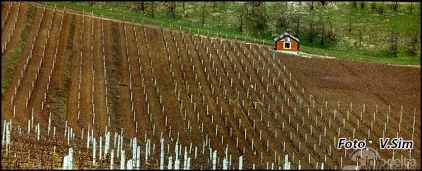 calatori straini prin dobrogea xxxviii 5 h evlia celebi turcia galerie foto 607906 calatori straini prin dobrogea xxxviii 5 h evlia celebi turcia galerie foto 607906