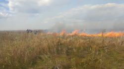 UPDATE 3 Aproape 600 de ha sunt afectate Incendiu de vegetație uscată între Istria și Vadu (galerie foto&video)    