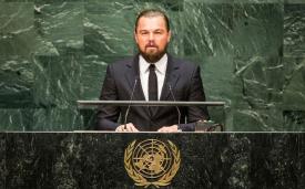 Leonardo DiCaprio Voluntarii Greenpeace colectează gunoiul găsit în pădurile româneşti