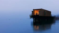 ​Dragoş Niculescu - Lacustră