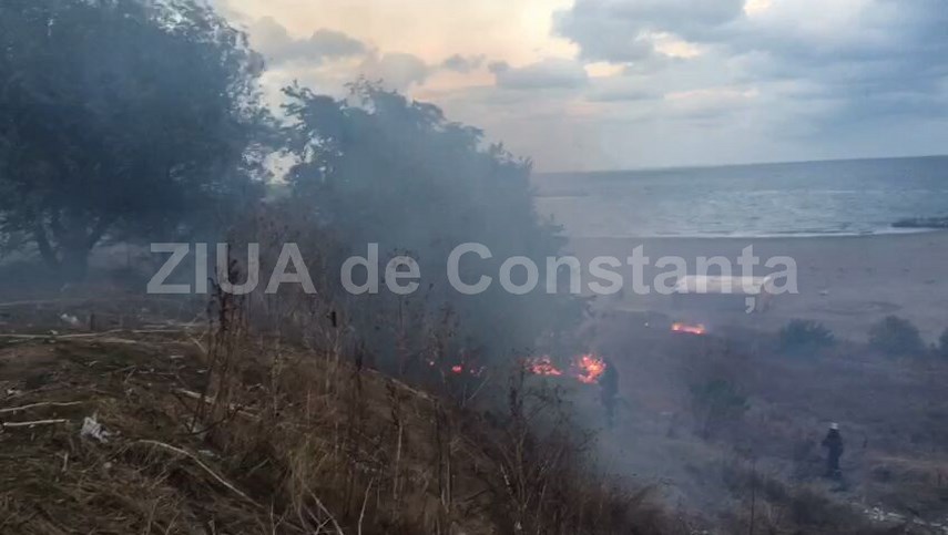 isu dobrogea intervine la trei papuci 608593 isu dobrogea intervine la trei papuci 608593