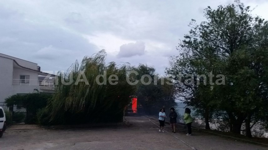 isu dobrogea intervine la trei papuci 608593 isu dobrogea intervine la trei papuci 608593