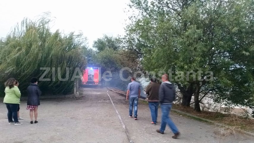 isu dobrogea intervine la trei papuci 608593 isu dobrogea intervine la trei papuci 608593
