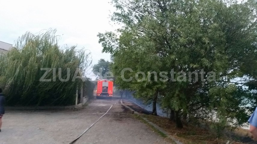 isu dobrogea intervine la trei papuci 608593 isu dobrogea intervine la trei papuci 608593