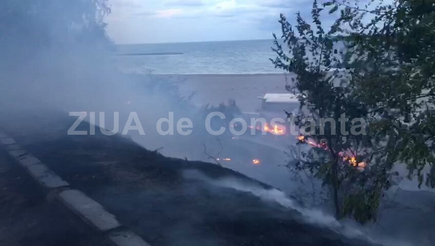 isu dobrogea intervine la trei papuci 608593 isu dobrogea intervine la trei papuci 608593