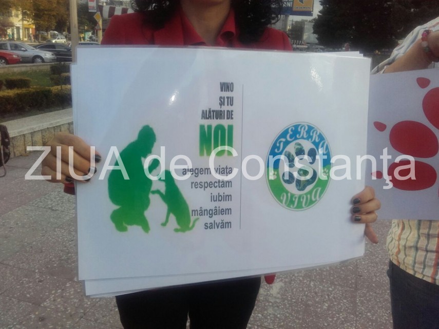 iubitorii de animale se aduna in fata fantanii din parcul casei de cultura 609581 iubitorii de animale se aduna in fata fantanii din parcul casei de cultura 609581