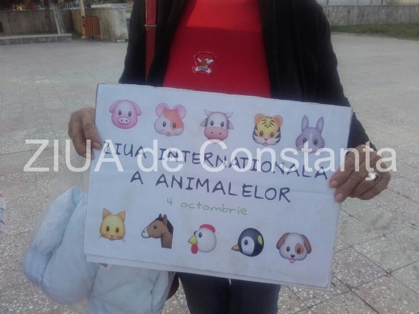 iubitorii de animale se aduna in fata fantanii din parcul casei de cultura 609581 iubitorii de animale se aduna in fata fantanii din parcul casei de cultura 609581