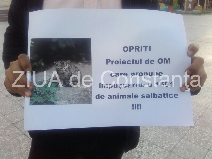 iubitorii de animale se aduna in fata fantanii din parcul casei de cultura 609581 iubitorii de animale se aduna in fata fantanii din parcul casei de cultura 609581