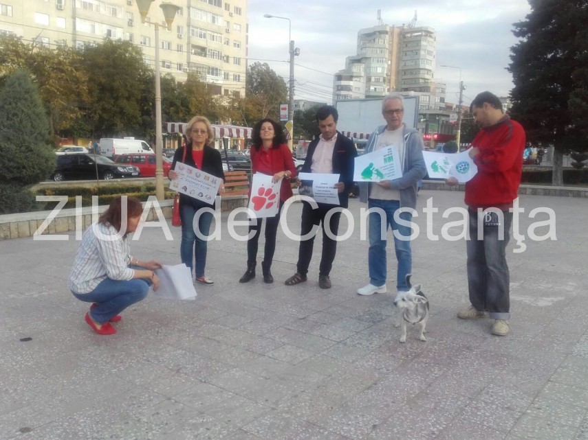 iubitorii de animale se aduna in fata fantanii din parcul casei de cultura 609581 iubitorii de animale se aduna in fata fantanii din parcul casei de cultura 609581