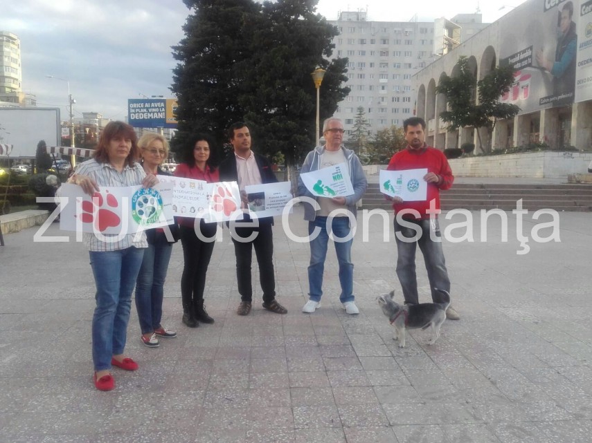 iubitorii de animale se aduna in fata fantanii din parcul casei de cultura 609581 iubitorii de animale se aduna in fata fantanii din parcul casei de cultura 609581