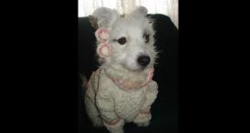 Handmade by Carmen Petrişor De ziua lor!