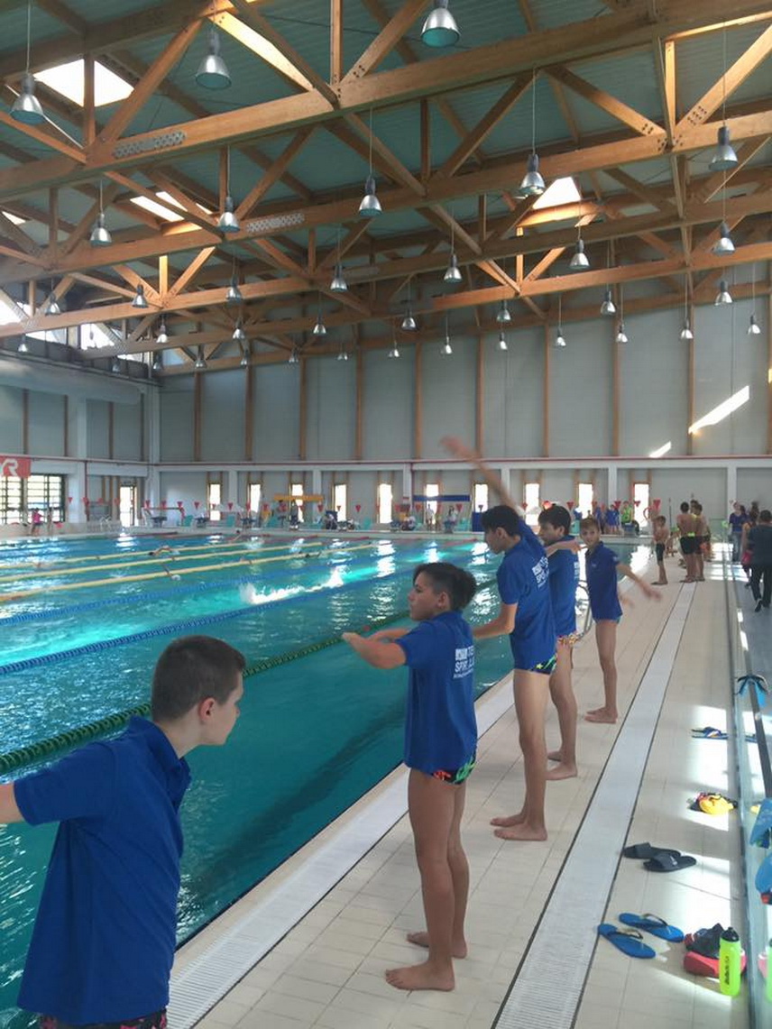 inotatorii de la atena sport club constanta au obtinut 27 de medalii la cupa contratimp galerie foto inotatorii de la atena sport club constanta au obtinut 27 de medalii la cupa contratimp galerie foto