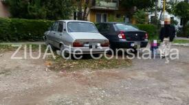 Dacie abandonată în Constanţa, loc de joacă şi odihnă pentru zeci de pisici (galerie foto + video)  