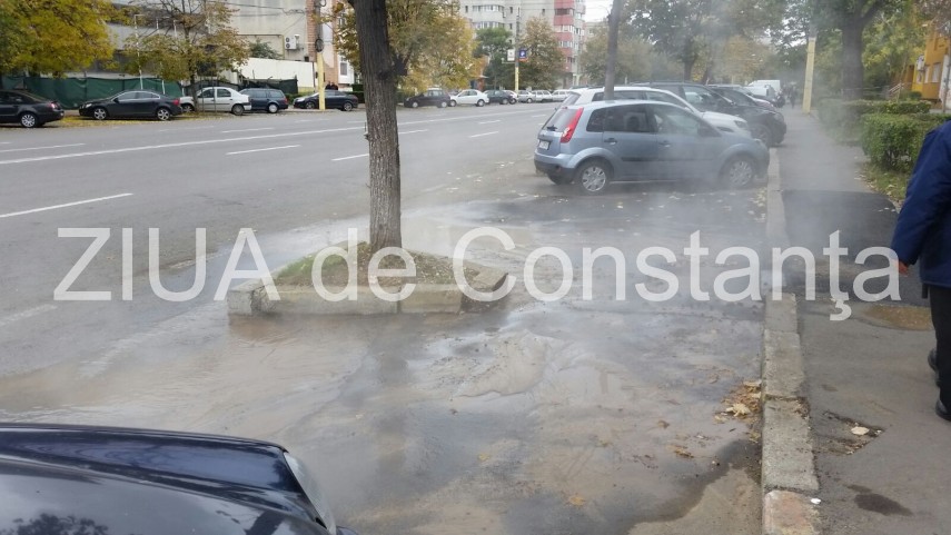 imagini dezolante in zona icil galerie foto 611826 imagini dezolante in zona icil galerie foto 611826