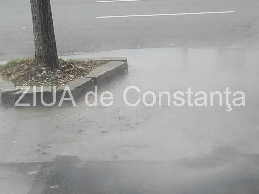 imagini dezolante in zona icil galerie foto 611826 imagini dezolante in zona icil galerie foto 611826