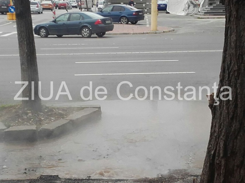 imagini dezolante in zona icil galerie foto 611826 imagini dezolante in zona icil galerie foto 611826