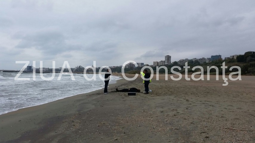 descoperire macabra o persoana decedata gasita pe o plaja din constanta galerie foto 612448 descoperire macabra o persoana decedata gasita pe o plaja din constanta galerie foto 612448