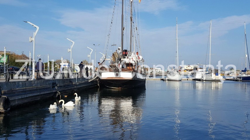 cu toata frumusetea toamnei inainte abandonati va linistii in mangalia galerie foto 612739 cu toata frumusetea toamnei inainte abandonati va linistii in mangalia galerie foto 612739