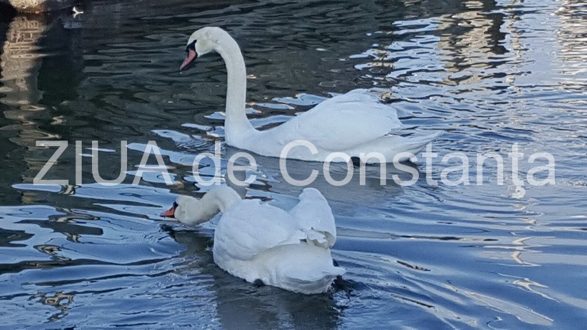 cu toata frumusetea toamnei inainte abandonati va linistii in mangalia galerie foto 612739 cu toata frumusetea toamnei inainte abandonati va linistii in mangalia galerie foto 612739