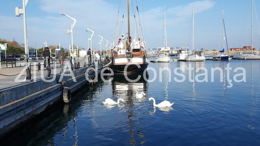cu toata frumusetea toamnei inainte abandonati va linistii in mangalia galerie foto 612739 cu toata frumusetea toamnei inainte abandonati va linistii in mangalia galerie foto 612739