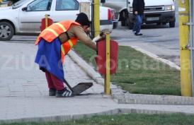 Câinii comunitari, o problemă sensibilă Primăria Techirghiol va achiziţiona utilaje performante pentru salubrizarea oraşului