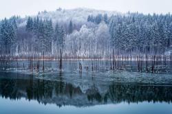 Fotografia zilei la National Geographic vine din România