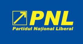 Averile şi interesele candidaţilor PNL Constanţa pentru Camera Deputaţilor (documente)