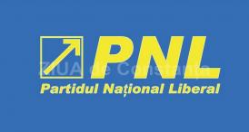 Scurtă analiză a candidaţilor PSD şi PNL pentru alegerile parlamentare din 11 decembrie. Tu pe cine votezi?