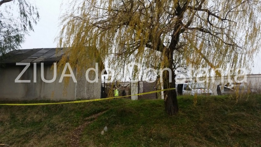 crima in constanta ce au decis judecatorii galerie foto video 634725 crima in constanta ce au decis judecatorii galerie foto video 634725