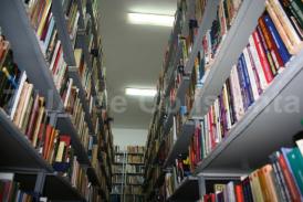 Primăria Nicolae Bălcescu a primit 50.000 de lei de la Consiliul Judeţean. Cum vor fi folosiţi banii alocaţi