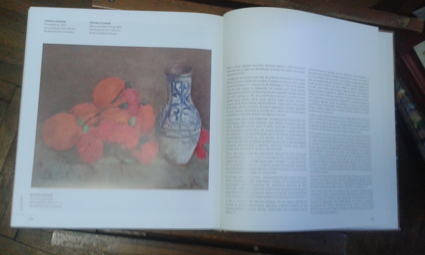 din pacate se scrie putina carte de arta doina pauleanu surprinde viata tacuta a naturii intr un volum