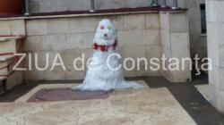 Poza zilei În Constanţa a apărut ... căţelul de zăpadă! 