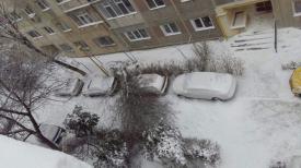 Ce străzi este bine să evitați în Constanța! Copaci prăbușiți pe șosea și un stâlp riscă să se prăbușească (galerie foto)    