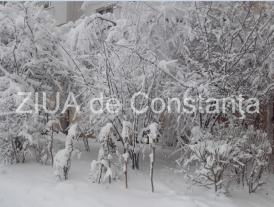 Cod Galben în Sud și Sud-Estul României. Avertismentul meteorologilor 