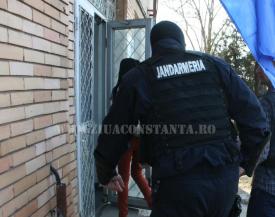 Percheziții DIICOT în Constanța și Tulcea Cultură de canabis, descoperită la Năvodari (video) 