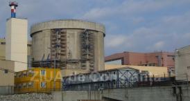 O firmă din București, contract de peste 100.000 de lei cu Nuclearelectrica SA (document)