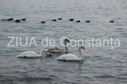 Priveliște nespus de frumoasă la Cazino (fotoreportaj+video)   