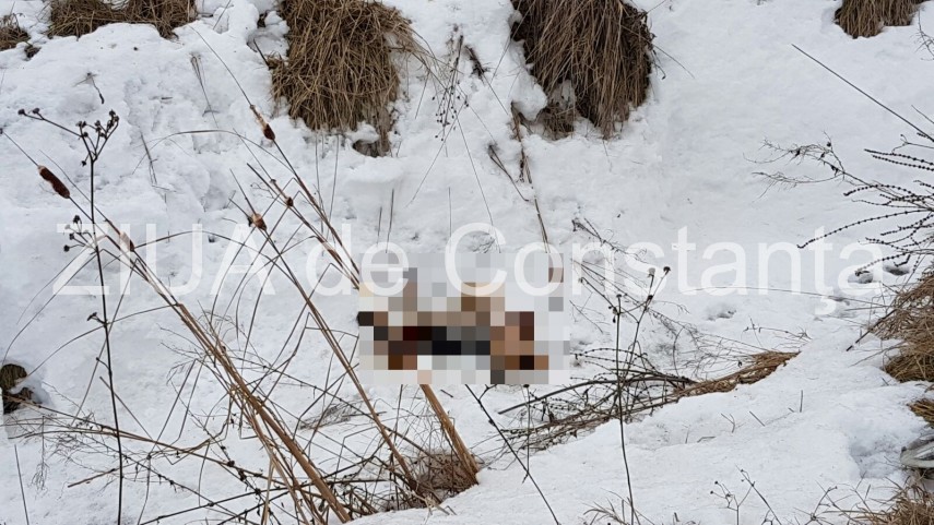 ce a ramas in urma accidentului mortal de la stefan cel mare imagini cu impact emotional galerie foto ce a ramas in urma accidentului mortal de la stefan cel mare imagini cu impact emotional galerie foto