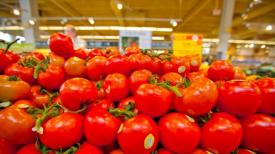 Agrointel.ro Cercetătorii au descoperit de ce roșiile nu mai au gust!