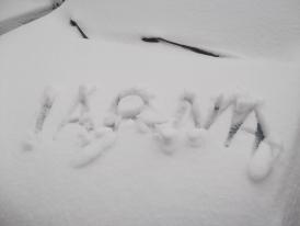 Întârzieri ale trenurilor de pe ruta Brașov-Constanța. Restricții de viteză în judeţul Constanţa