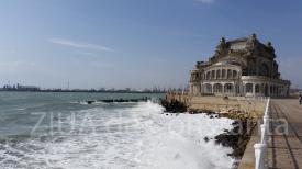 Irina Lucia Mihalca - Fără nume 