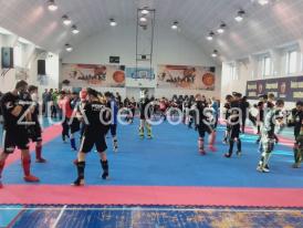 Maeștri ai artelor marțiale și luptători consacrați participă la un seminar la Constanța (galerie foto + video)     