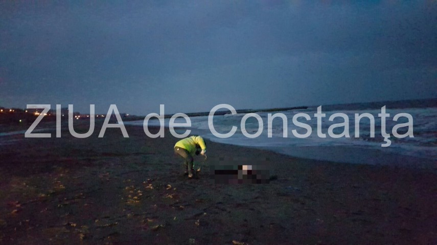 descoperire macabra astazi la malul marii negre o femeie a fost gasita decedata pe plaja 623310 descoperire macabra astazi la malul marii negre o femeie a fost gasita decedata pe plaja 623310